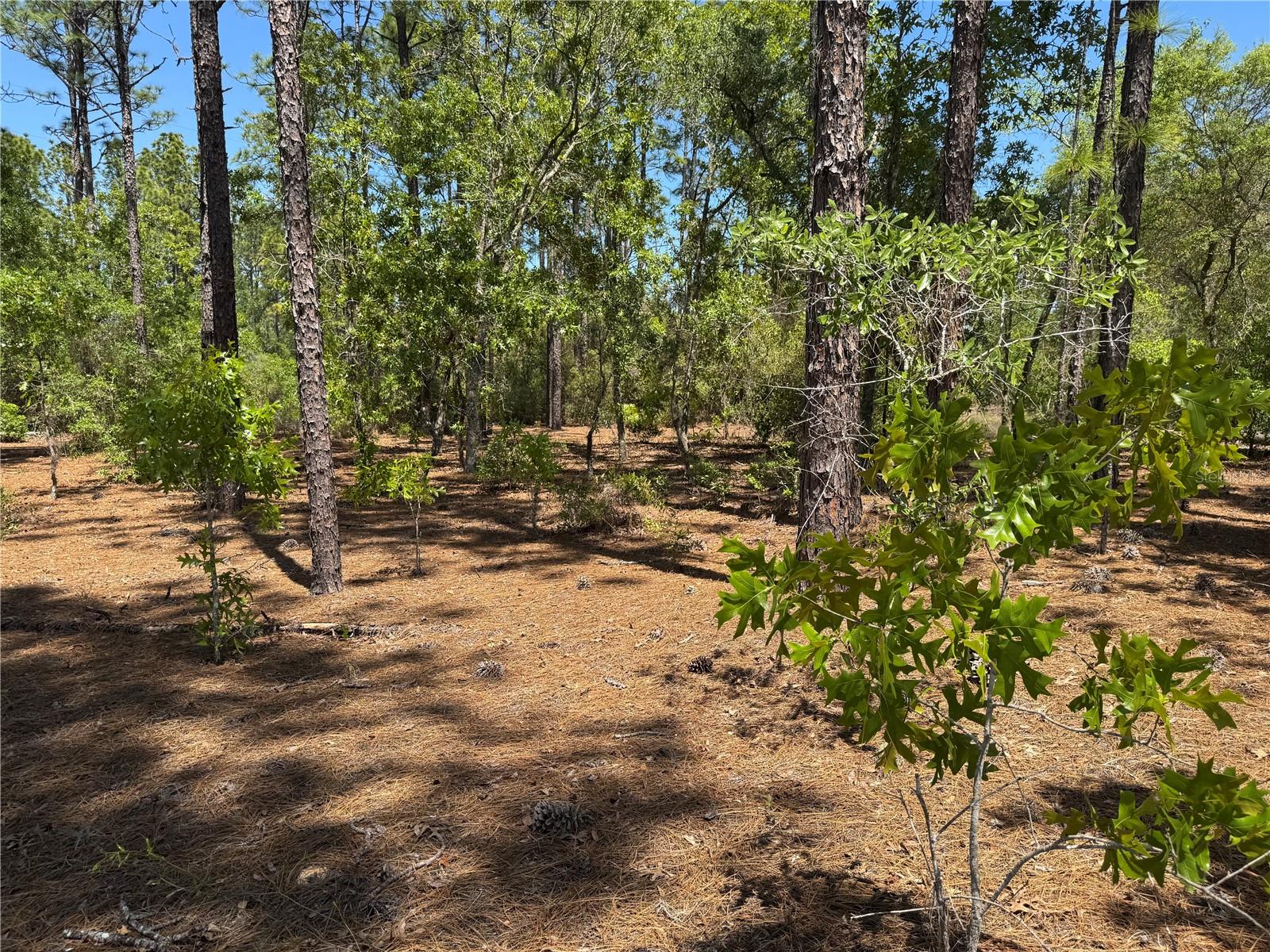 Lot 2 SW 59TH LN, DUNNELLON, FL, 34431