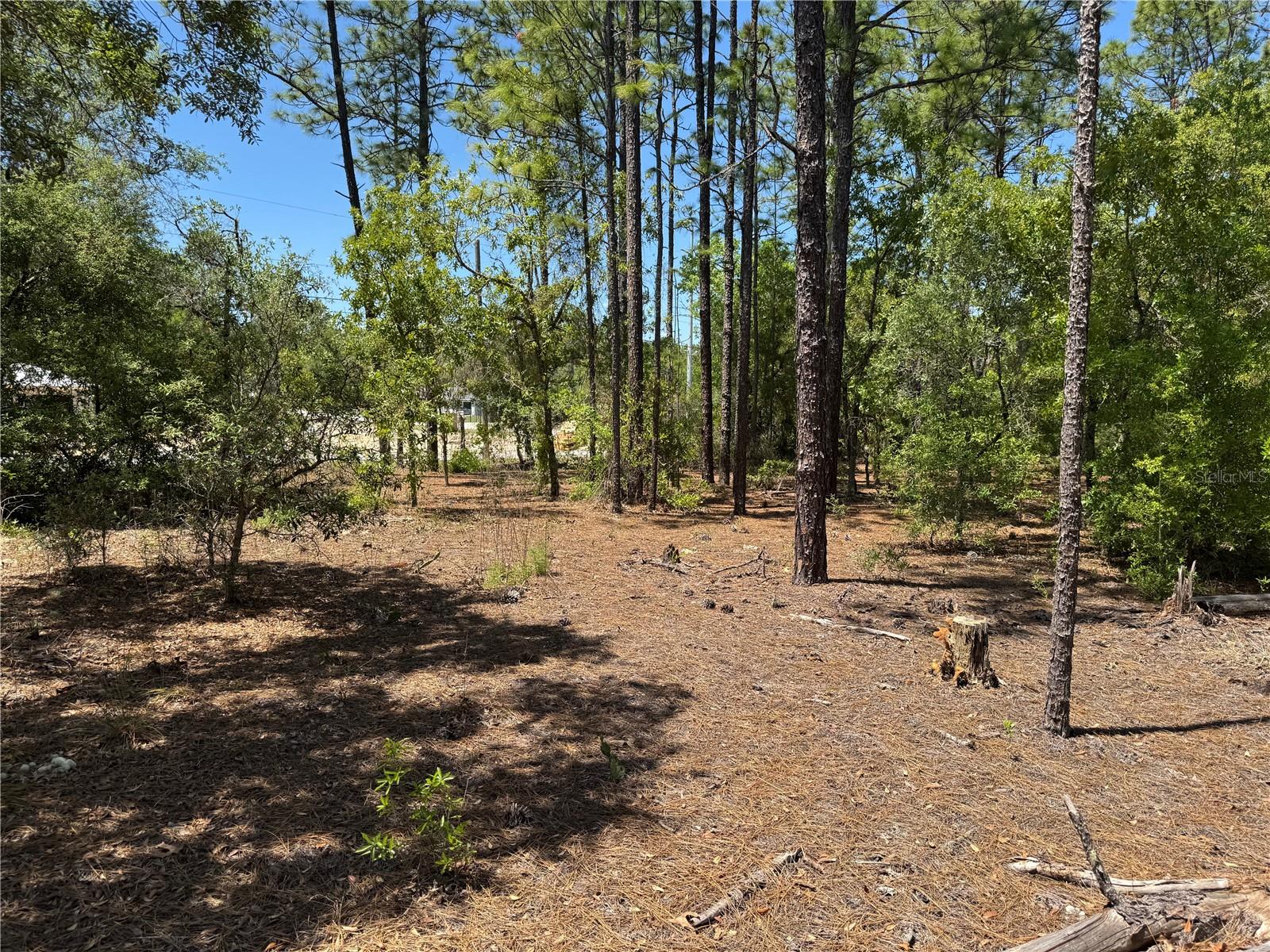 Lot 2 SW 59TH LN, DUNNELLON, FL, 34431