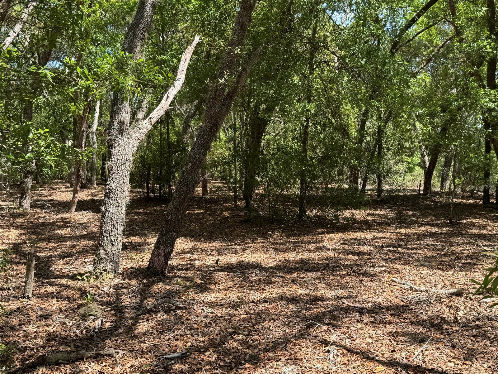 Lot 2 SW 59TH LN, DUNNELLON, FL, 34431
