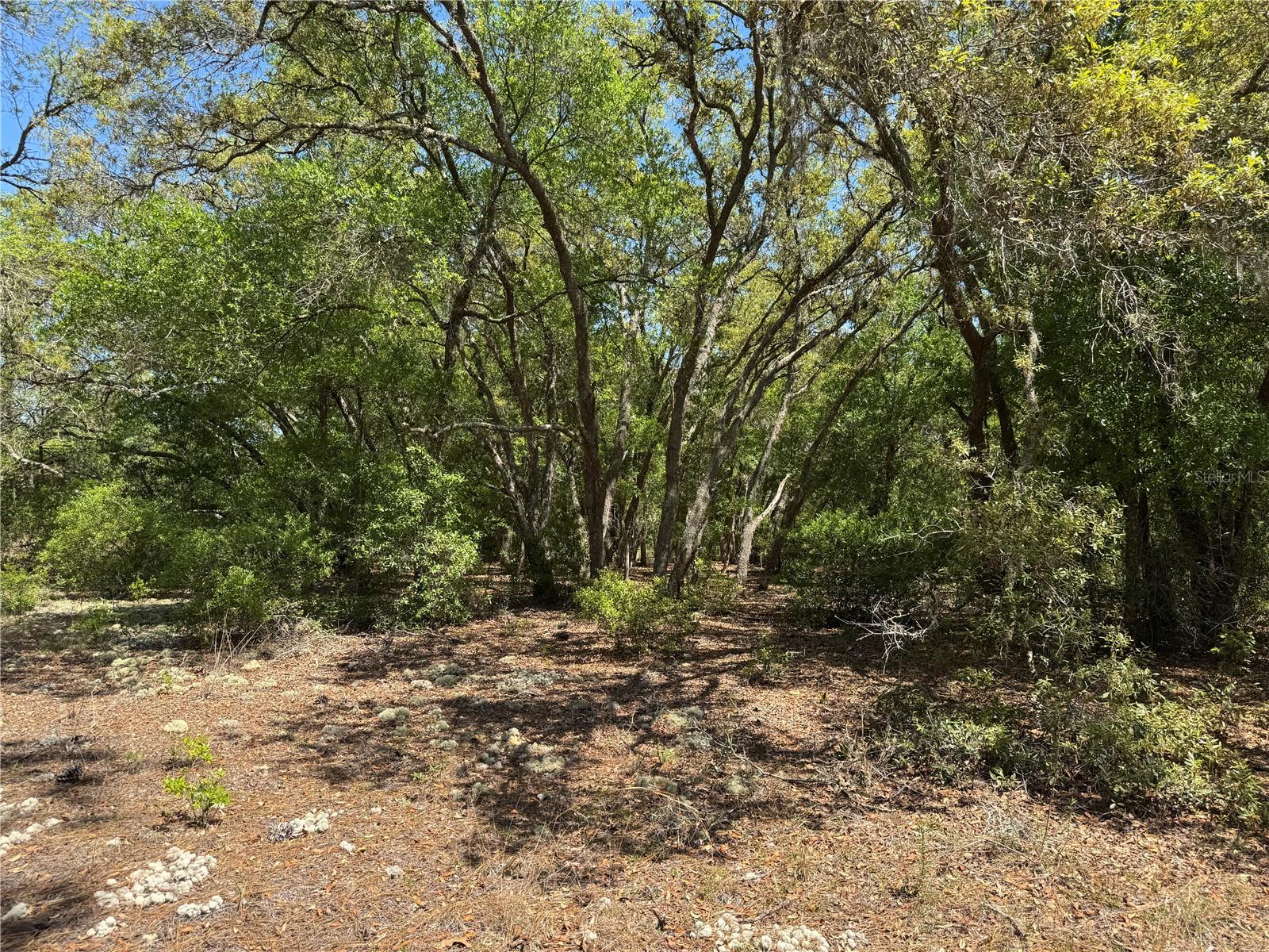 Lot 2 SW 59TH LN, DUNNELLON, FL, 34431