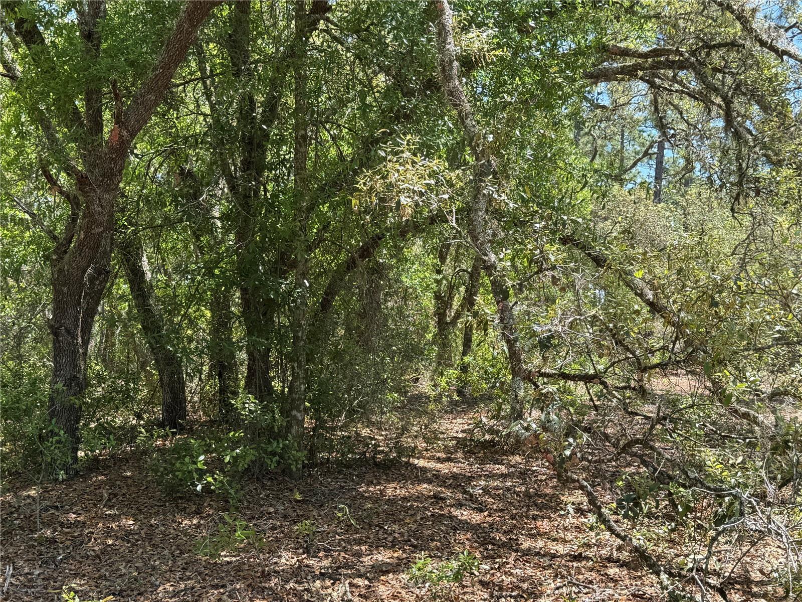 Lot 2 SW 59TH LN, DUNNELLON, FL, 34431