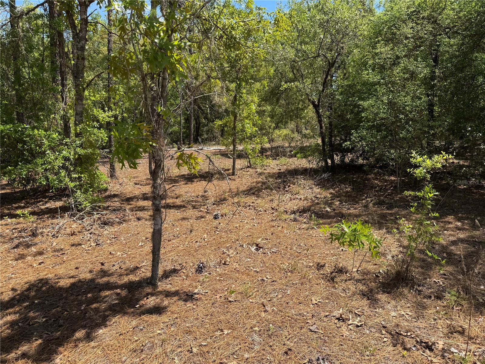 Lot 2 SW 59TH LN, DUNNELLON, FL, 34431