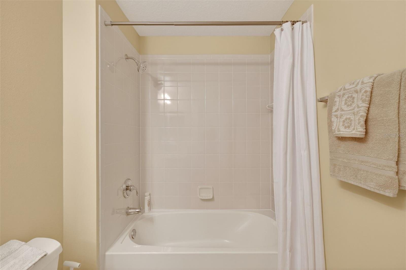 2359 WAKEFIELD WAY, MOUNT DORA, FL, 32757