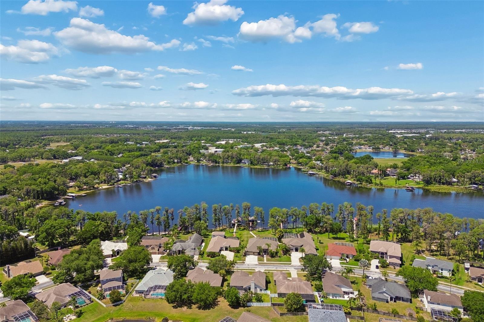 19623 LAKE OSCEOLA LN, ODESSA, FL, 33556