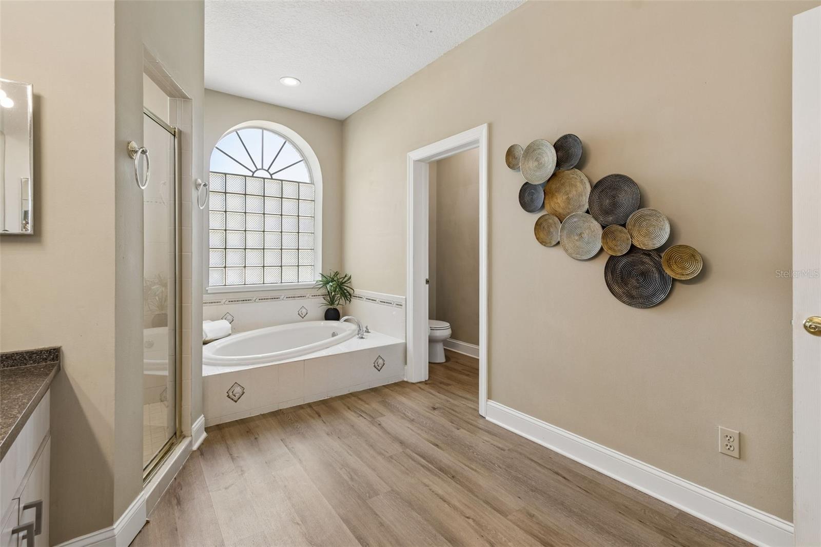 19623 LAKE OSCEOLA LN, ODESSA, FL, 33556