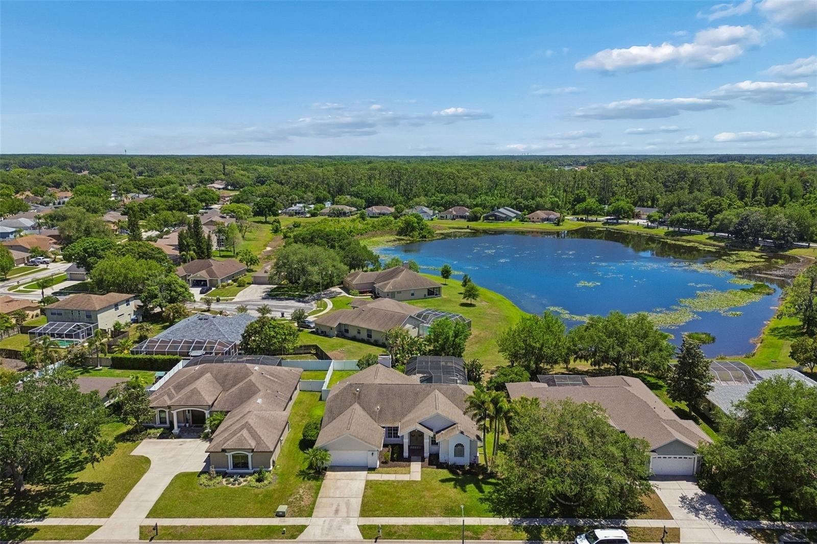 19623 LAKE OSCEOLA LN, ODESSA, FL, 33556