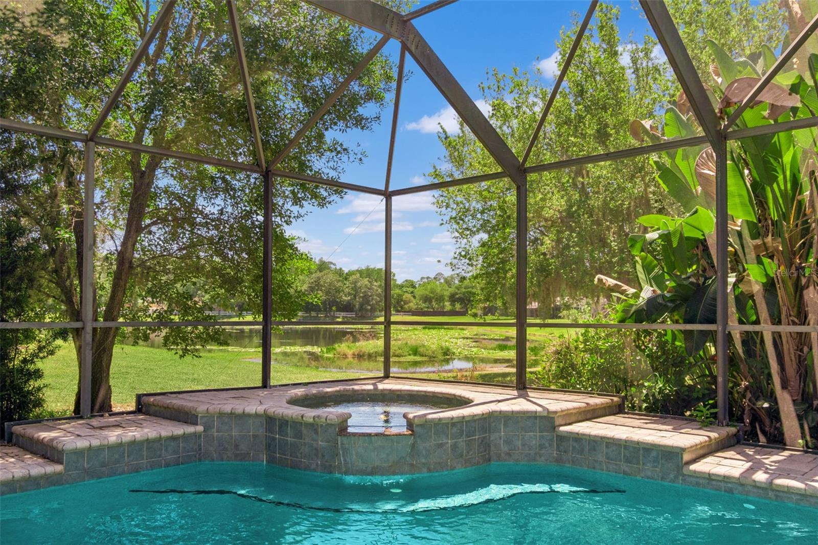 19623 LAKE OSCEOLA LN, ODESSA, FL, 33556