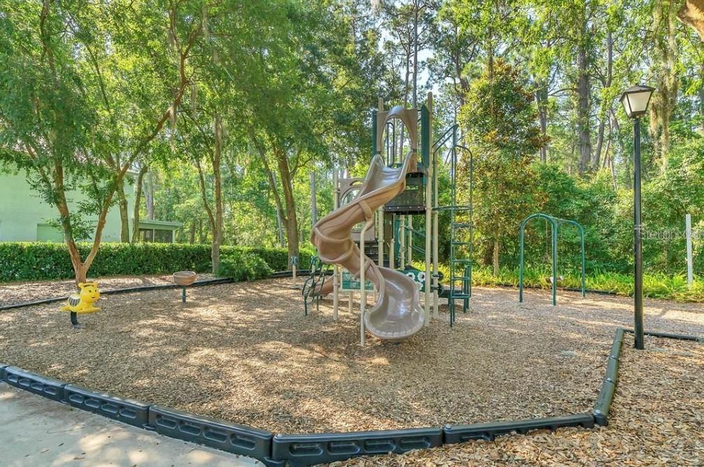 19623 LAKE OSCEOLA LN, ODESSA, FL, 33556