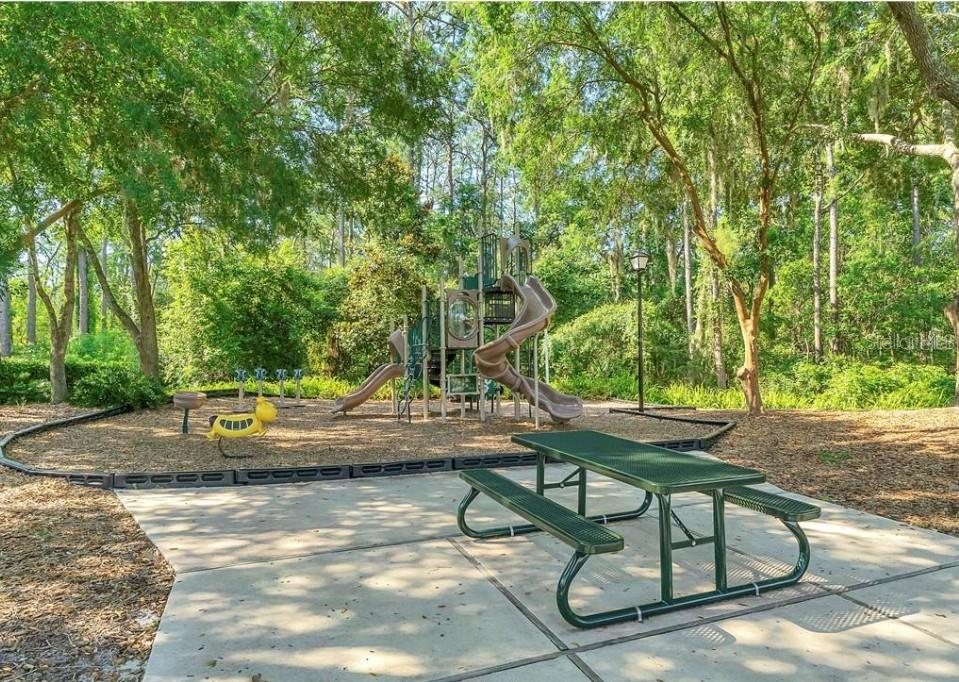 19623 LAKE OSCEOLA LN, ODESSA, FL, 33556