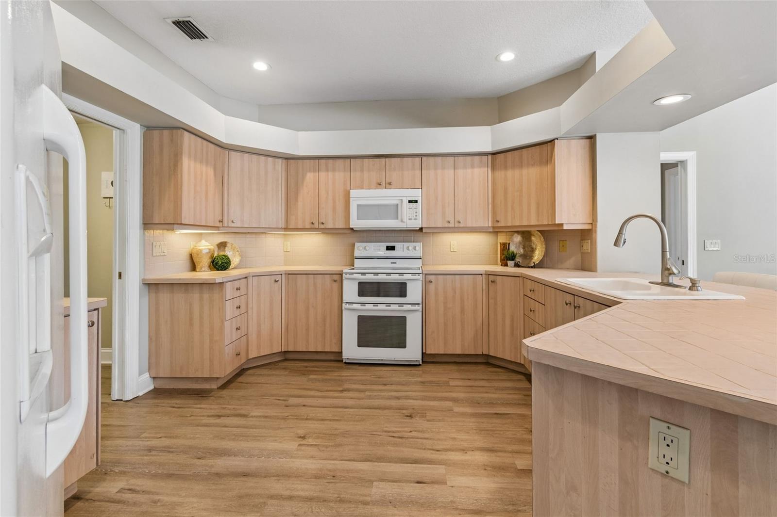 19623 LAKE OSCEOLA LN, ODESSA, FL, 33556