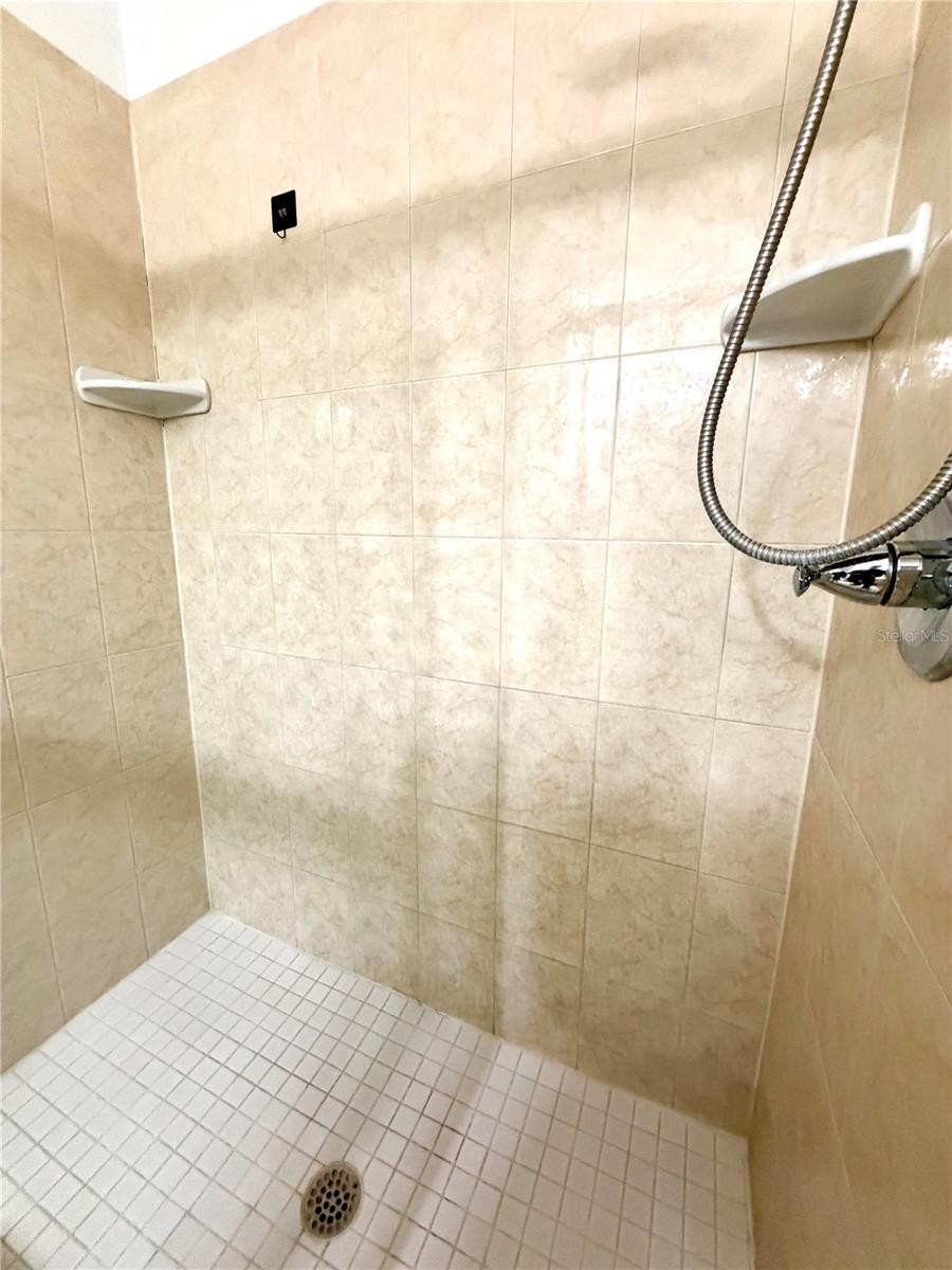 5100 BURCHETTE RD #3102, TAMPA, FL, 33647