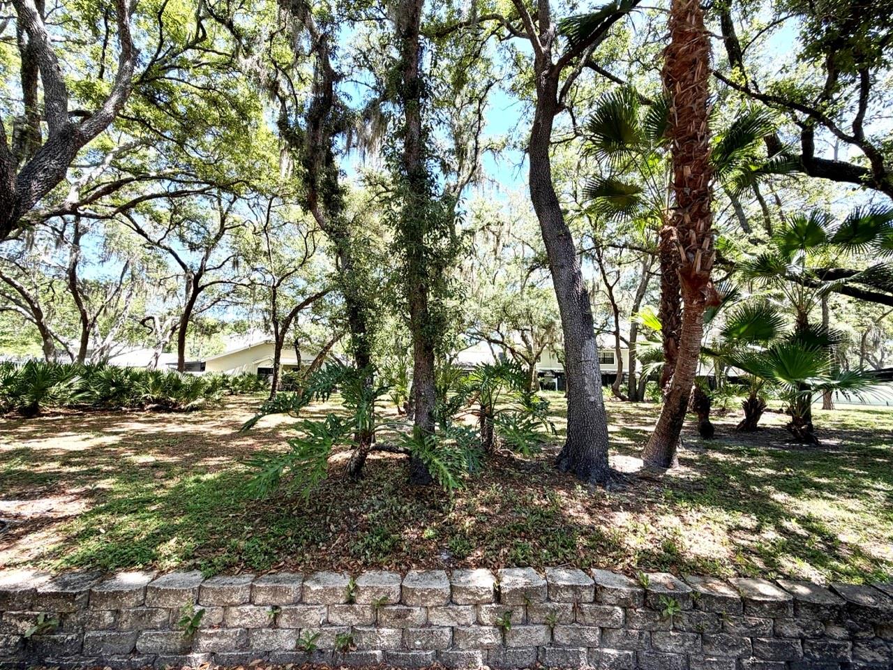 5100 BURCHETTE RD #3102, TAMPA, FL, 33647