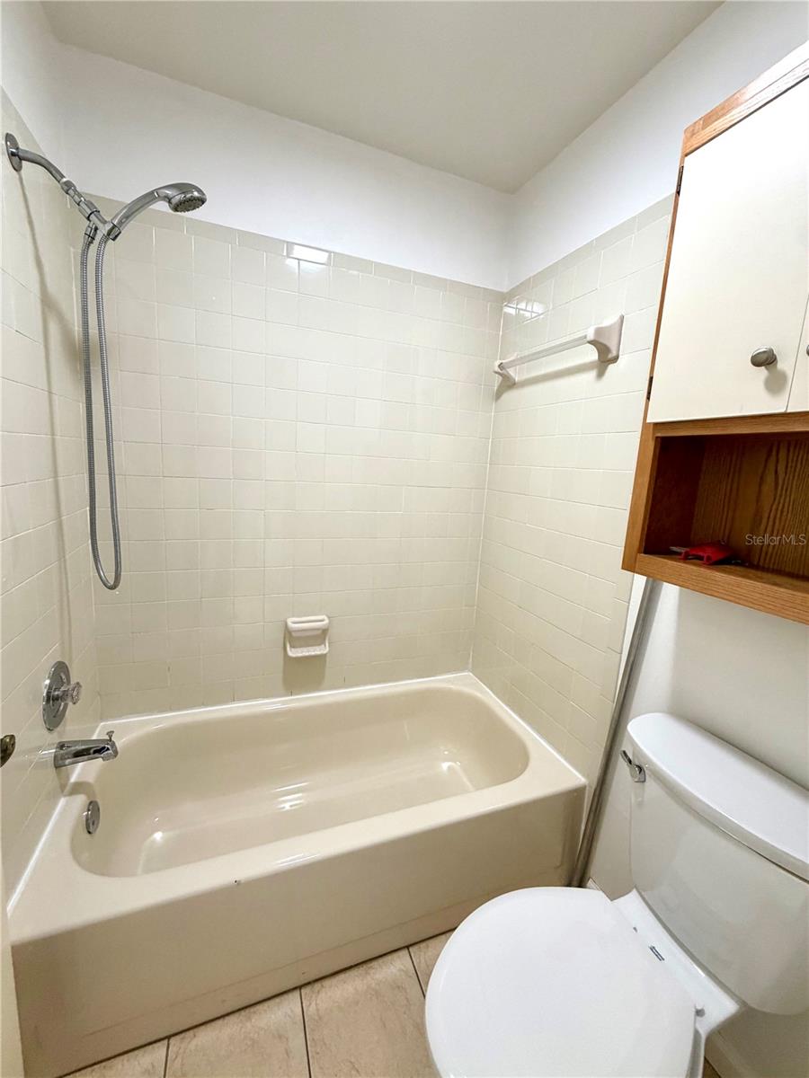 5100 BURCHETTE RD #3102, TAMPA, FL, 33647