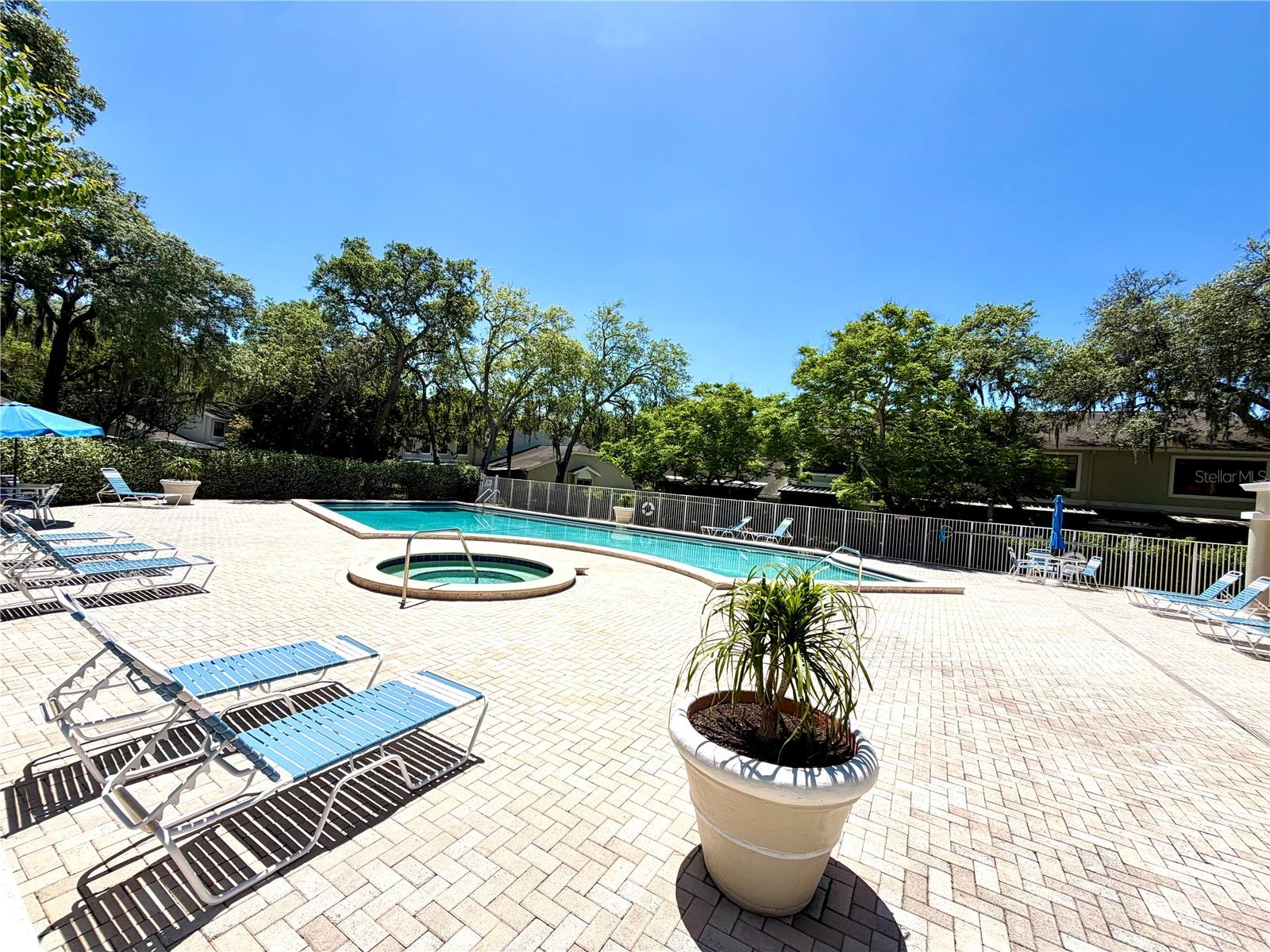 5100 BURCHETTE RD #3102, TAMPA, FL, 33647