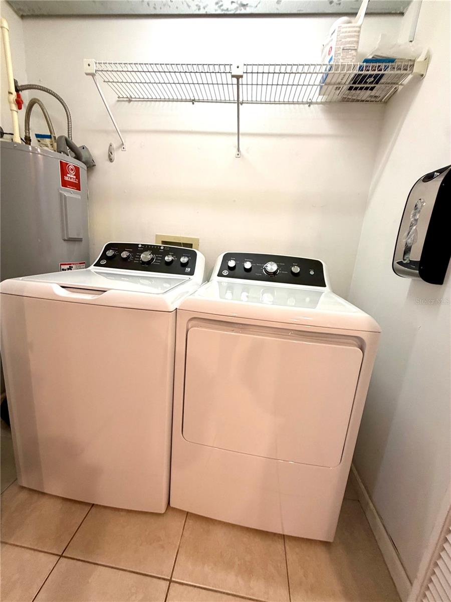 5100 BURCHETTE RD #3102, TAMPA, FL, 33647