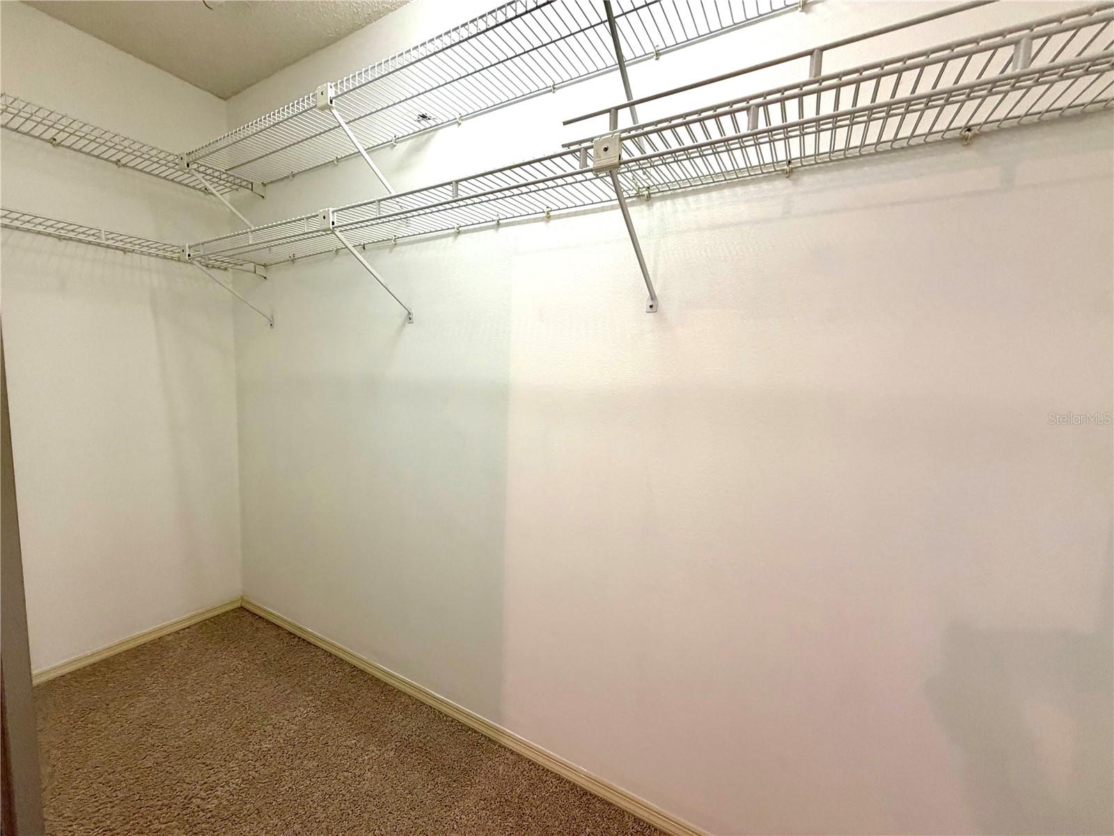 5100 BURCHETTE RD #3102, TAMPA, FL, 33647