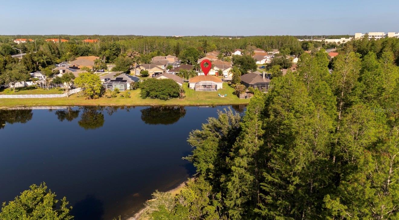 18012 SPARROWS NEST DR, LUTZ, FL, 33558