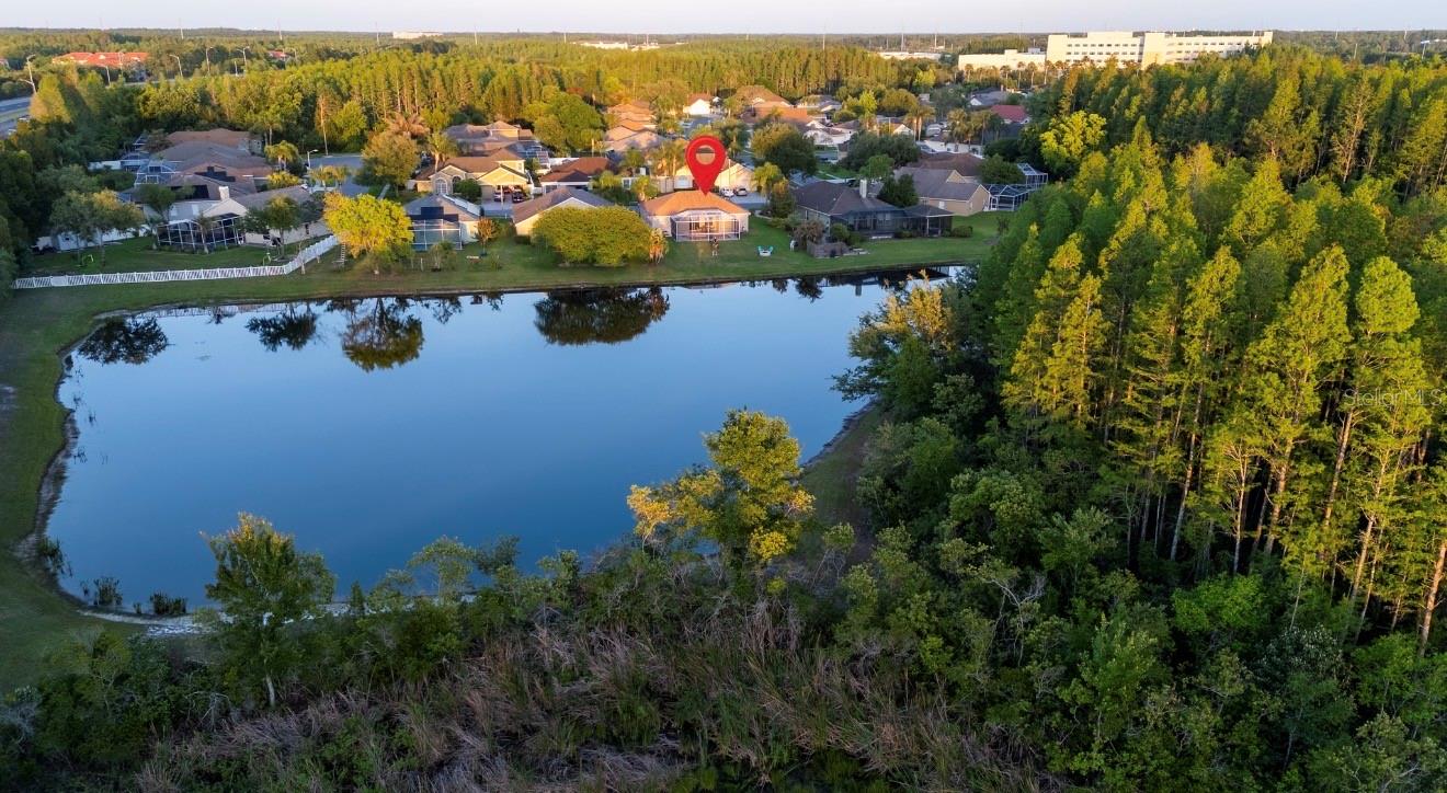 18012 SPARROWS NEST DR, LUTZ, FL, 33558