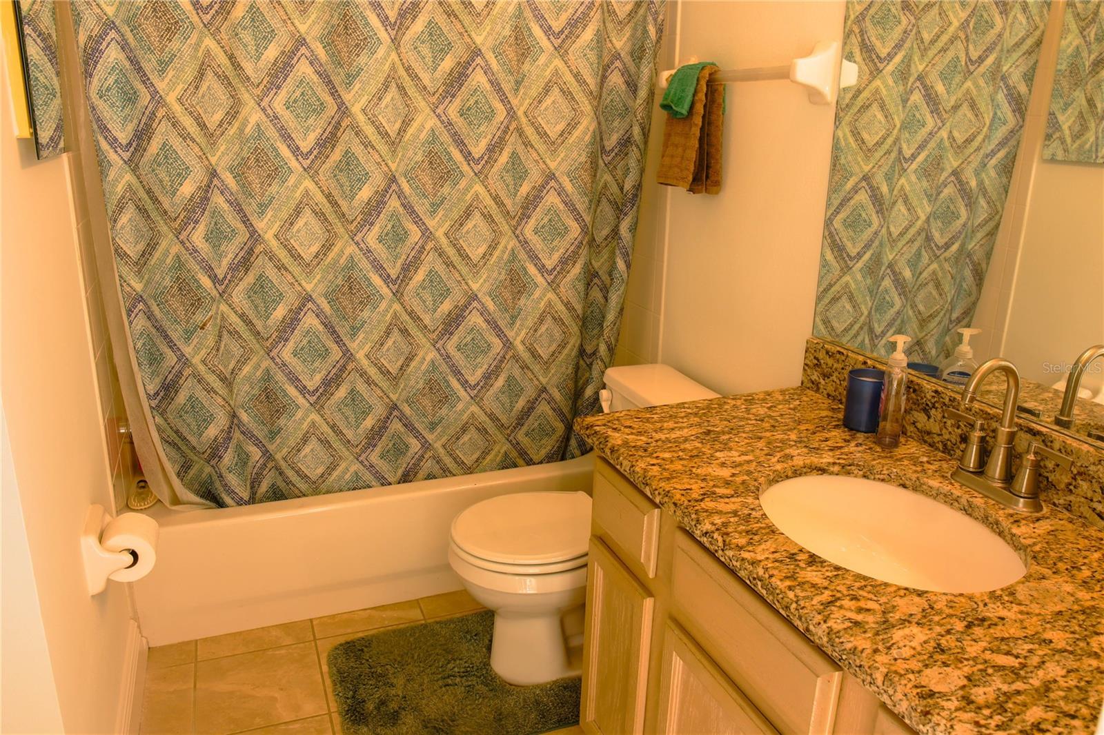 18012 SPARROWS NEST DR, LUTZ, FL, 33558