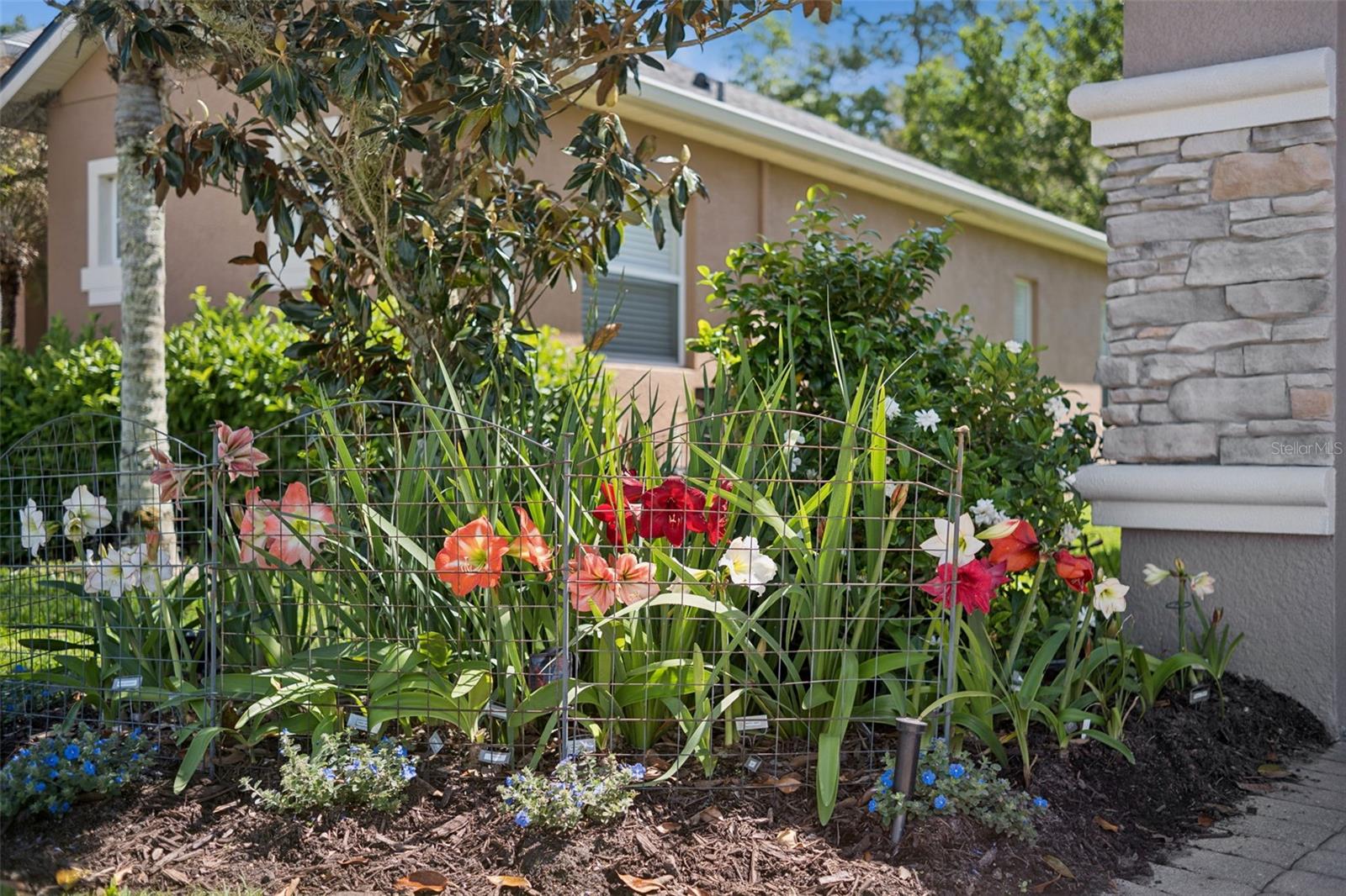 3918 SAFFLOWER TER, OVIEDO, FL, 32766