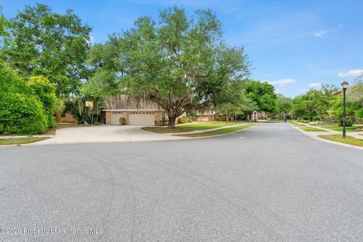 6153 NEW OSPREY PT, WEEKI WACHEE, FL, 34607