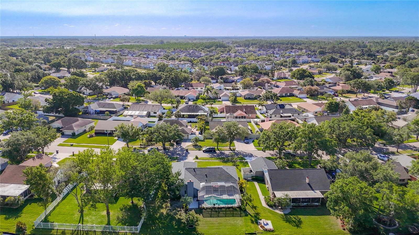 15110 NATUREWALK DR, TAMPA, FL, 33624