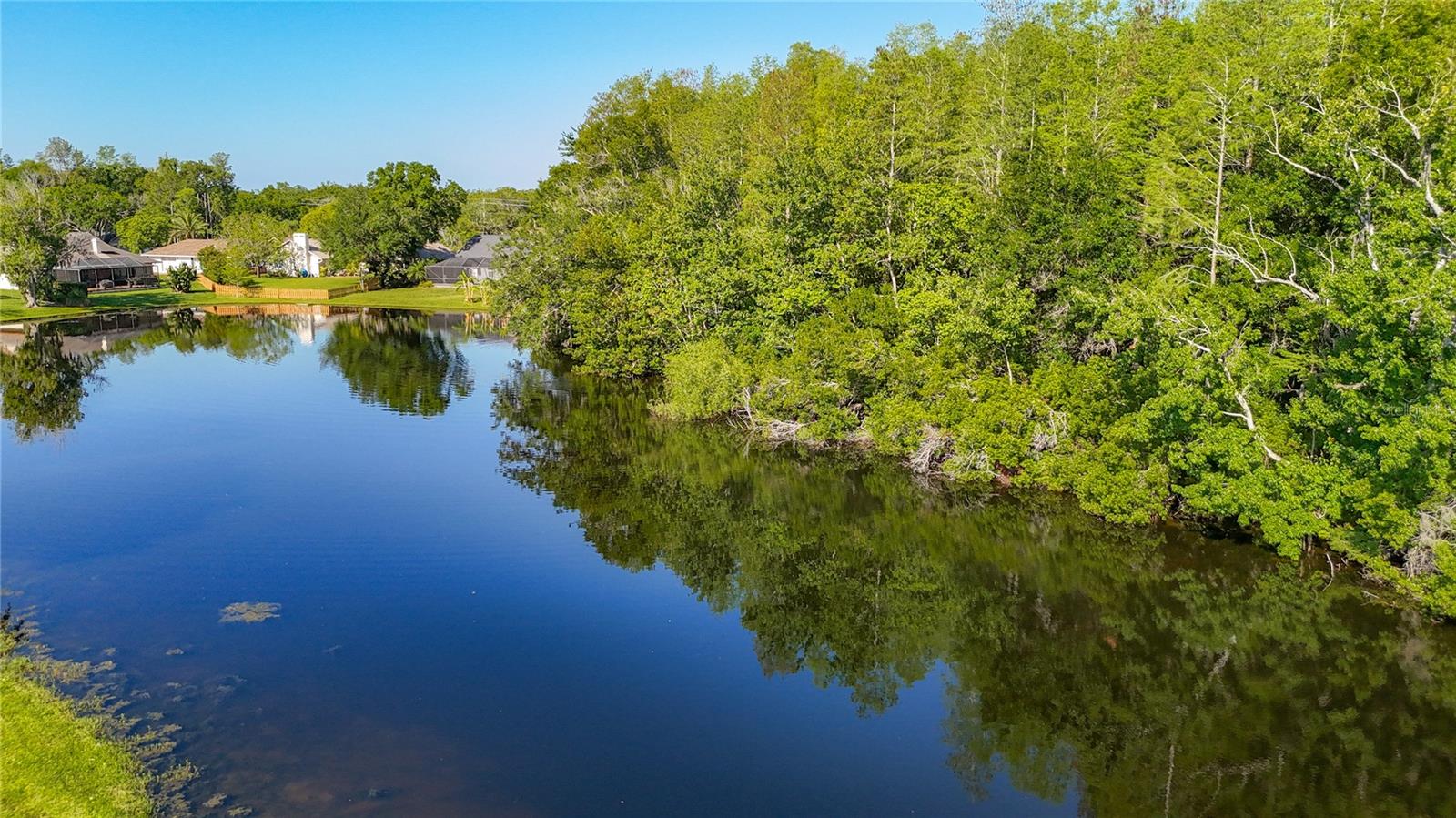 15110 NATUREWALK DR, TAMPA, FL, 33624