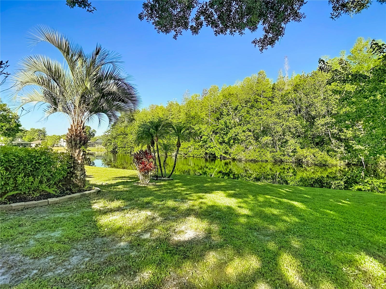 15110 NATUREWALK DR, TAMPA, FL, 33624