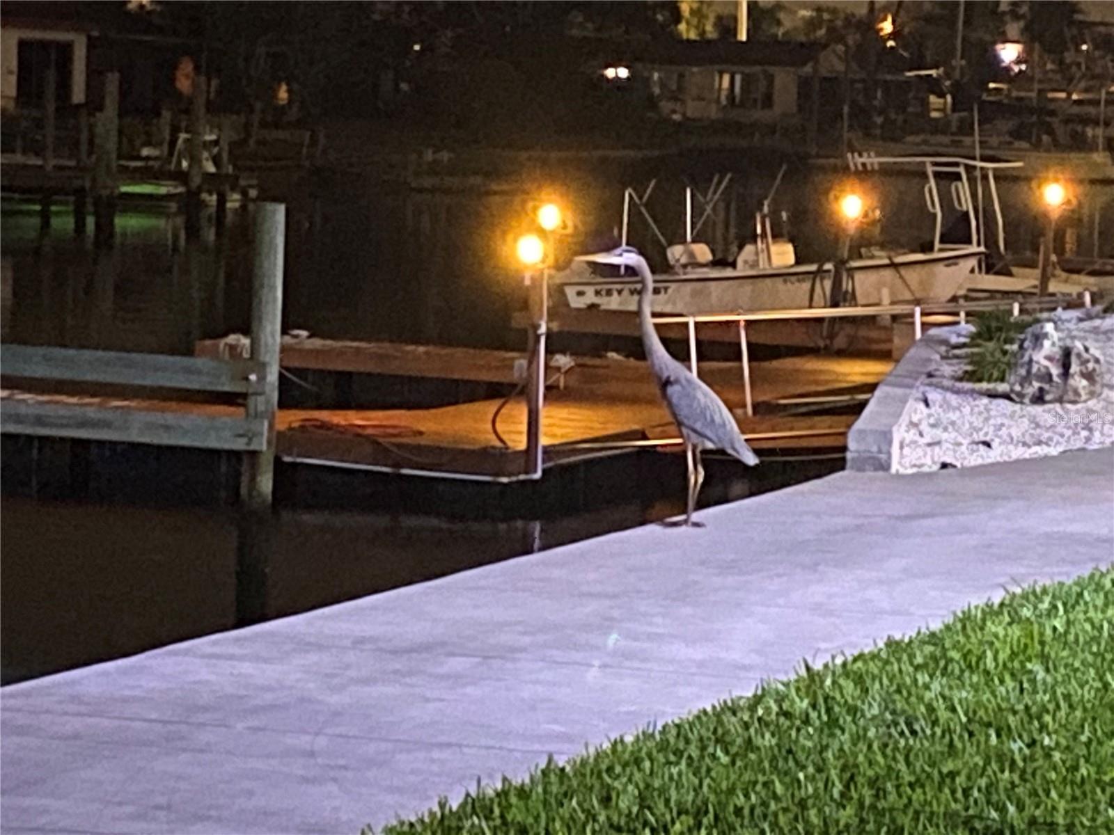 5915 SEA RANCH DR #711, HUDSON, FL, 34667