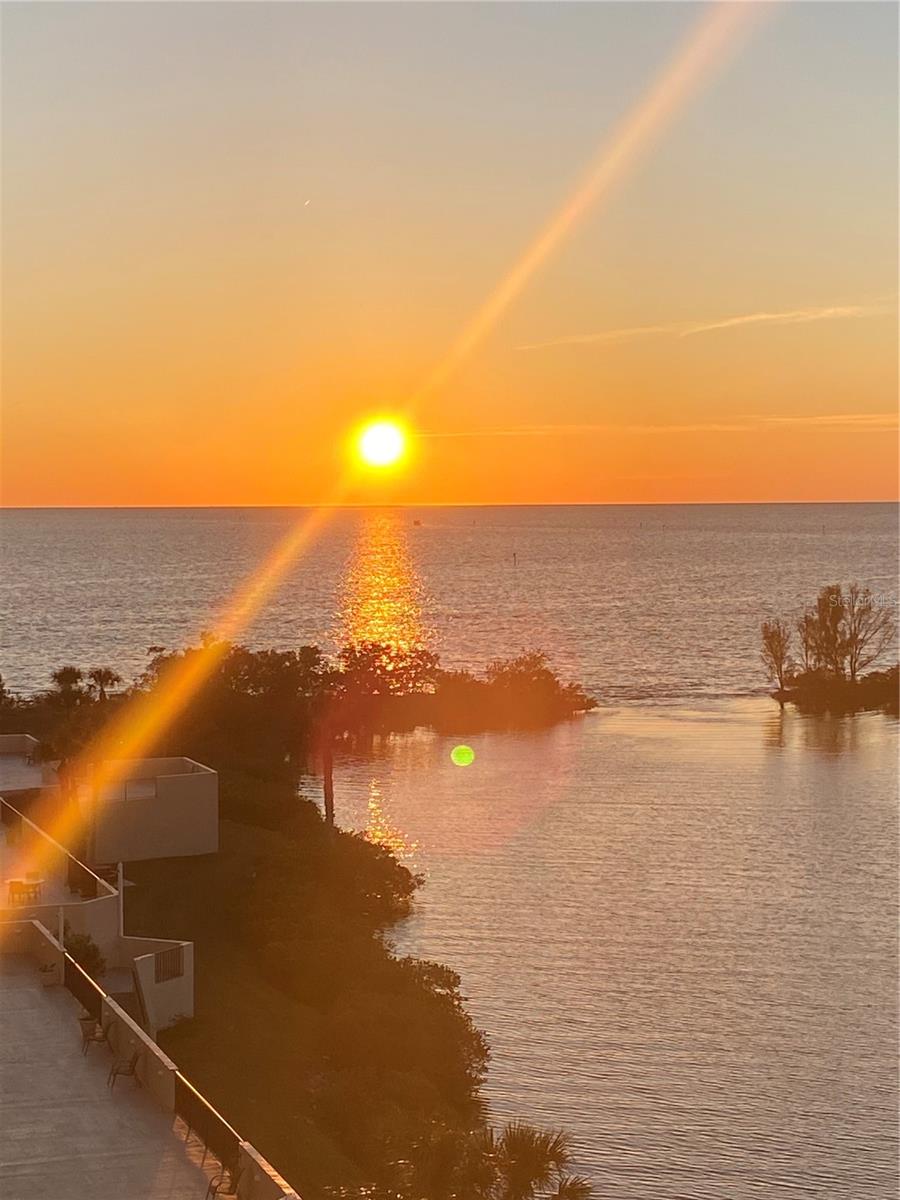 5915 SEA RANCH DR #711, HUDSON, FL, 34667