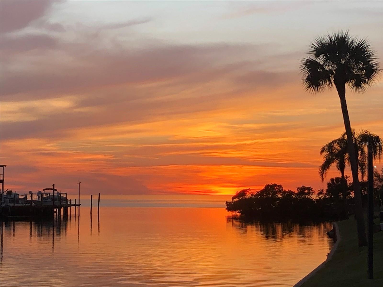 5915 SEA RANCH DR #711, HUDSON, FL, 34667