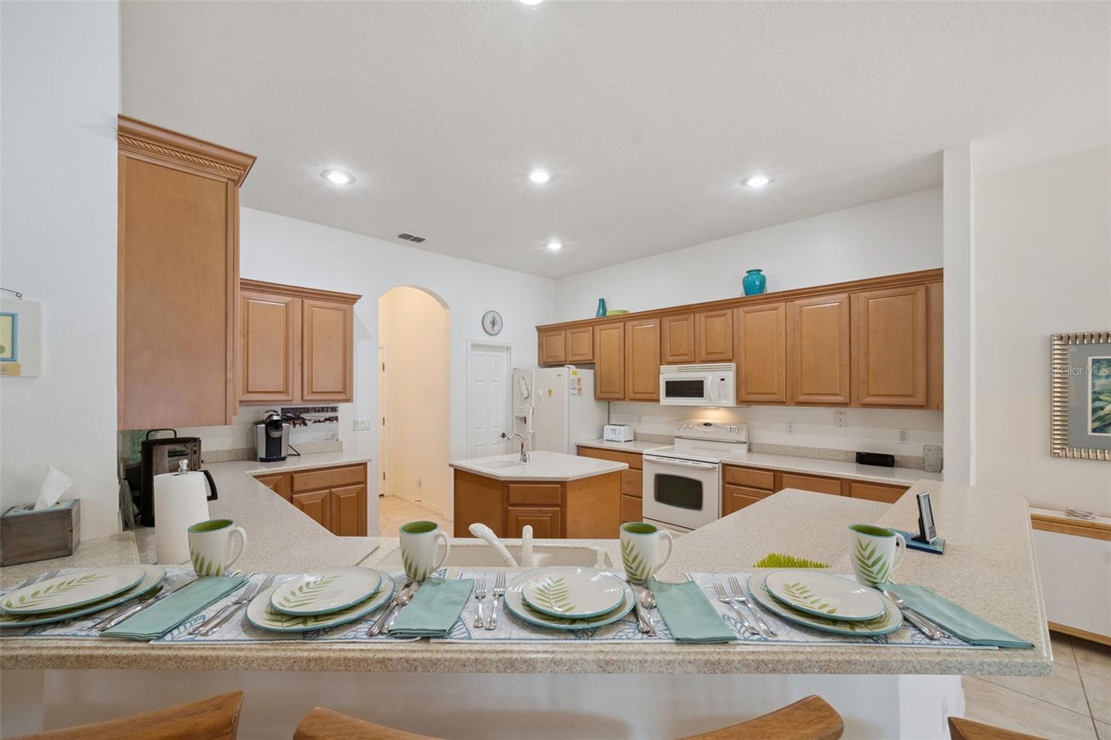 3719 BELLE ROSE DR, LEESBURG, FL, 34748