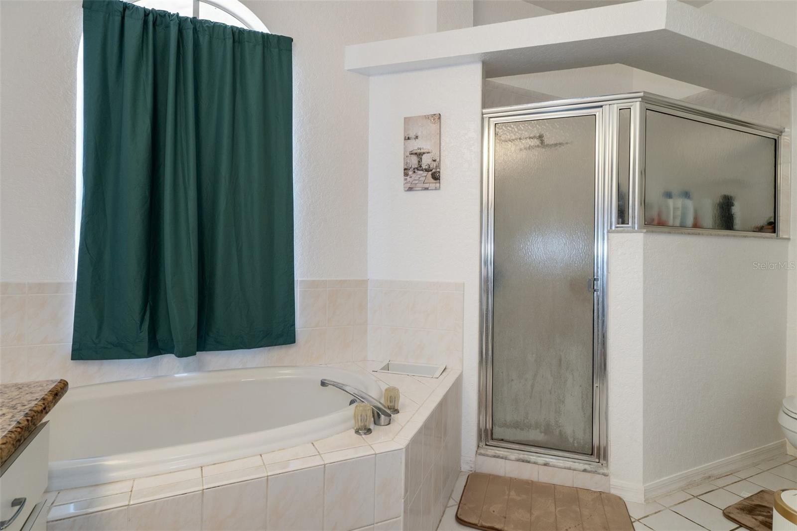 2510 WHITEWOOD AVE, SPRING HILL, FL, 34609