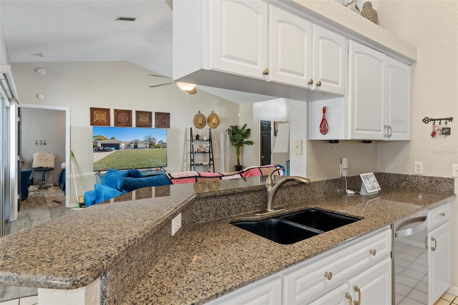 2510 WHITEWOOD AVE, SPRING HILL, FL, 34609