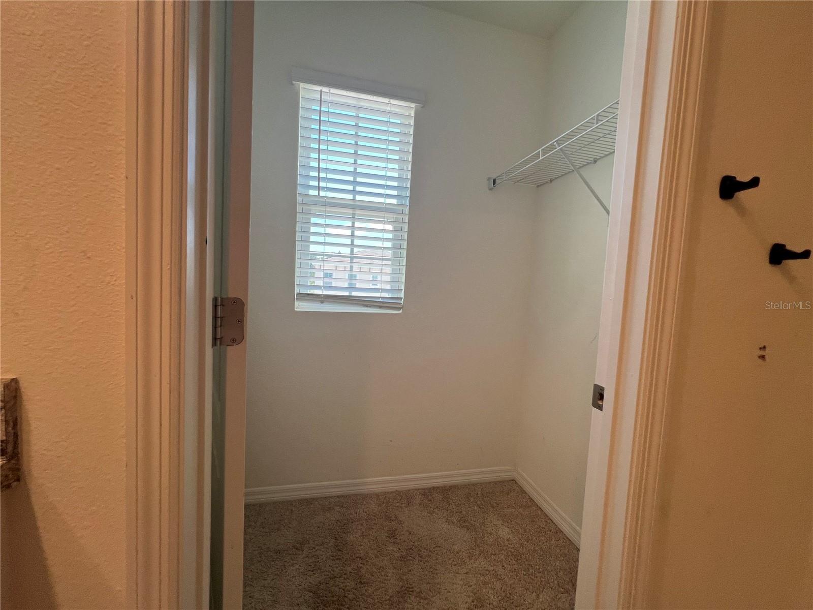 1378 FOX SQUIRREL DR, DAVENPORT, FL, 33897