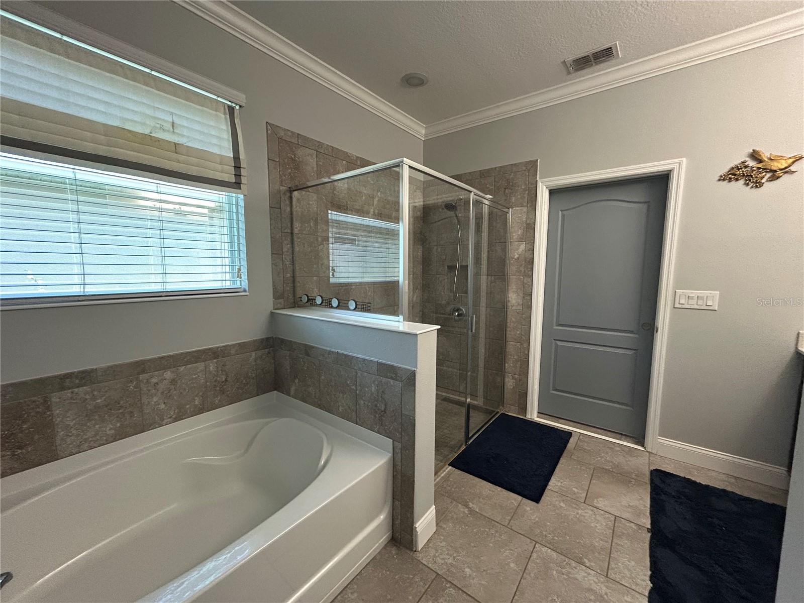 410 E FREESIA CT, DELAND, FL, 32724