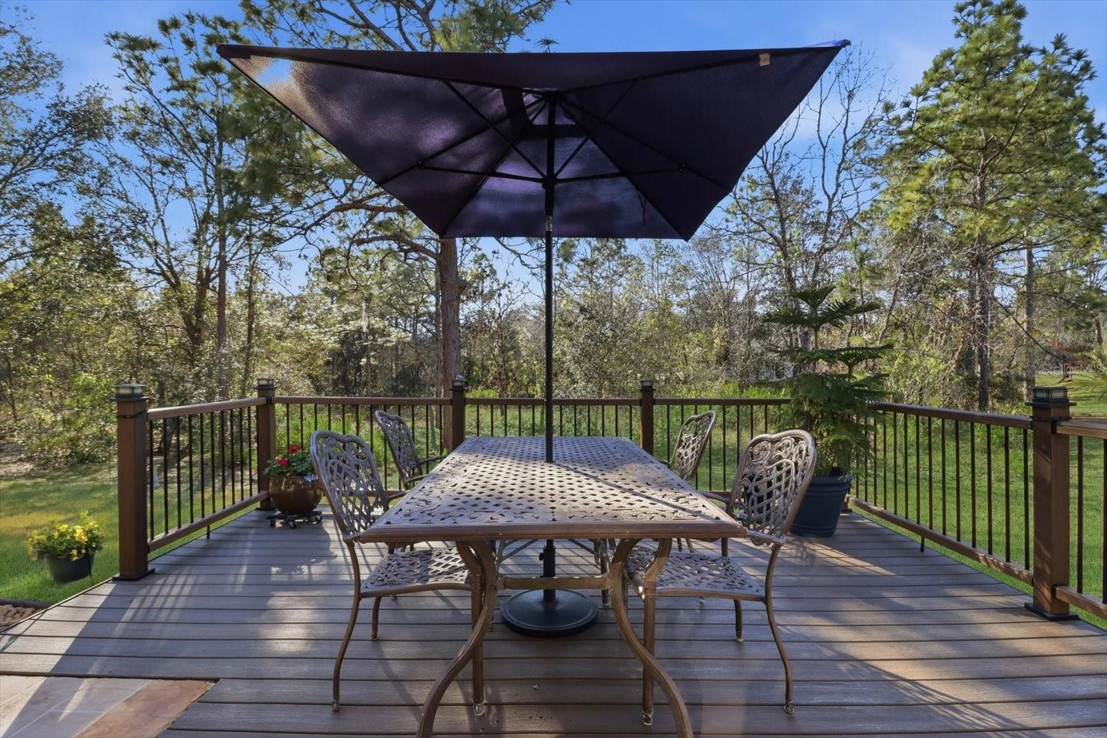 6 CARNATION CT, HOMOSASSA, FL, 34446