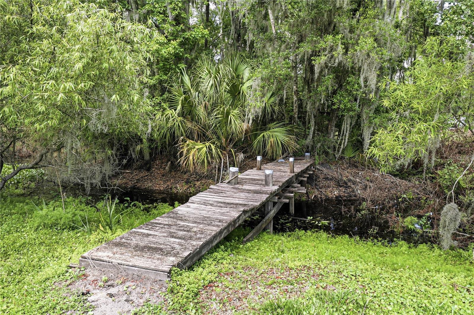 403 WENDEL AVE, LITHIA, FL, 33547