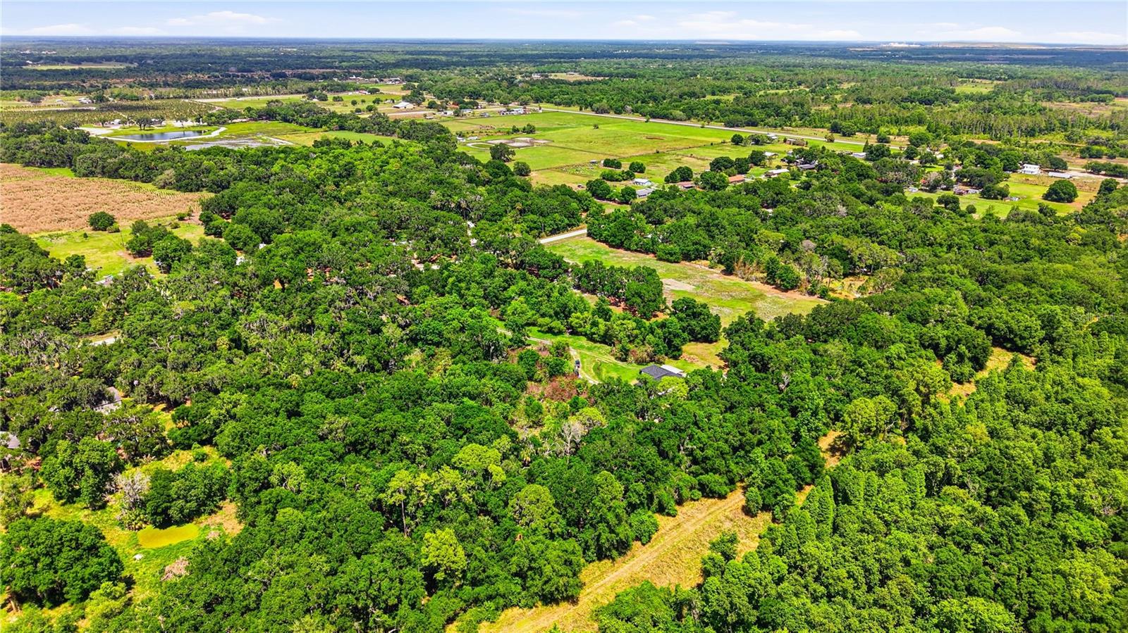 403 WENDEL AVE, LITHIA, FL, 33547