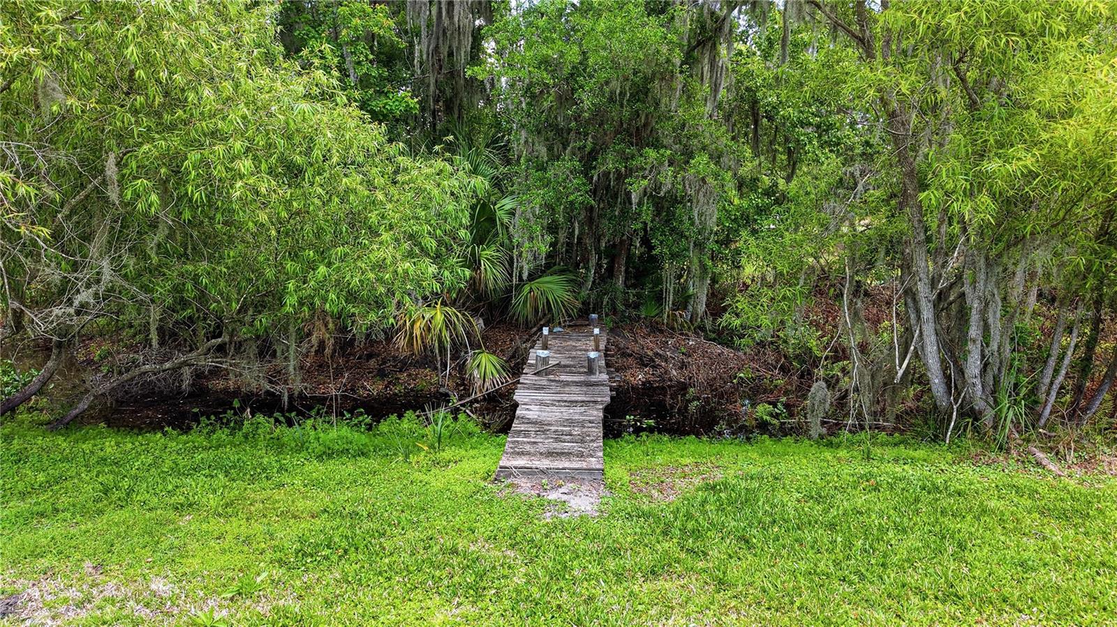 403 WENDEL AVE, LITHIA, FL, 33547