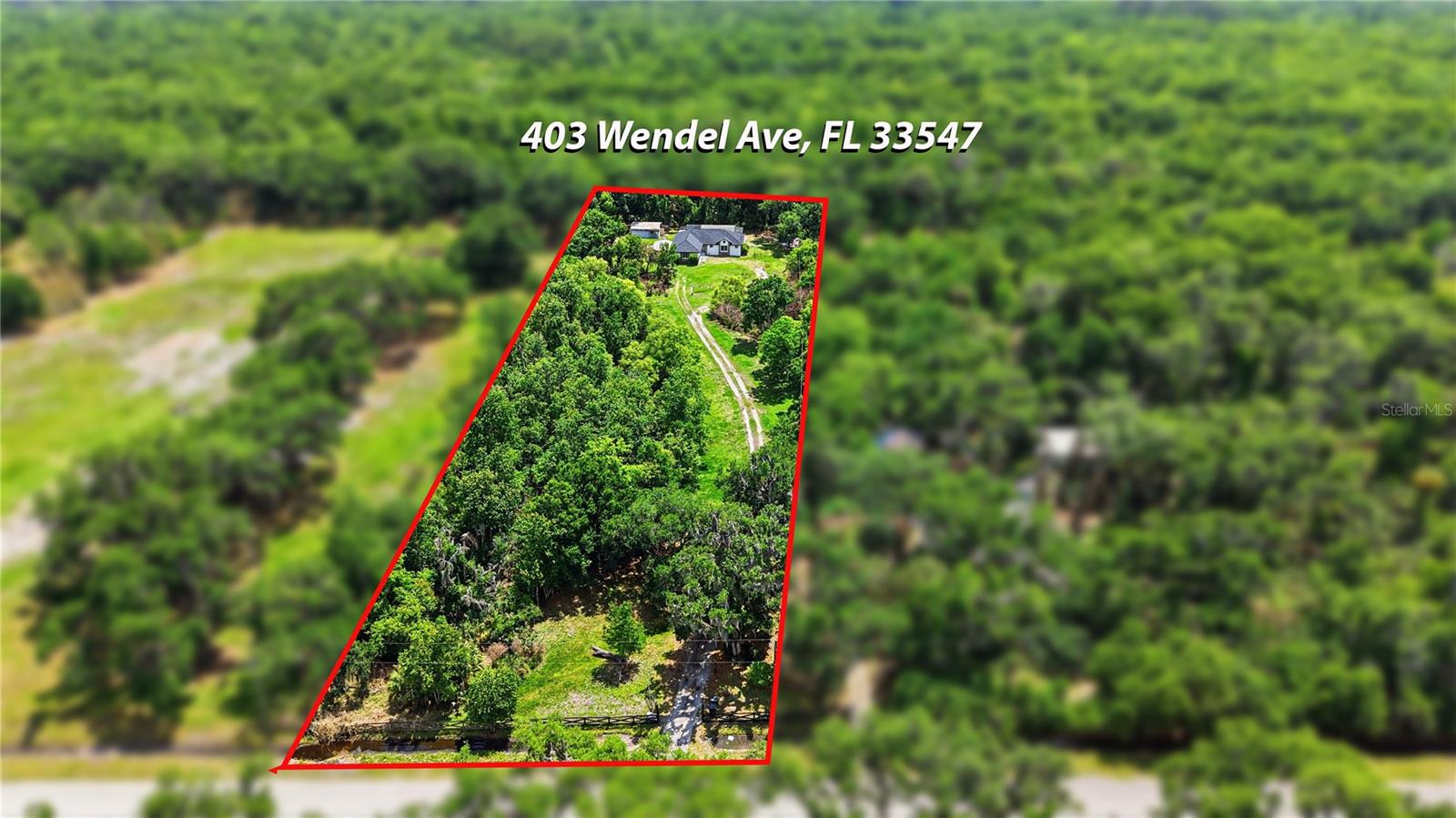 403 WENDEL AVE, LITHIA, FL, 33547