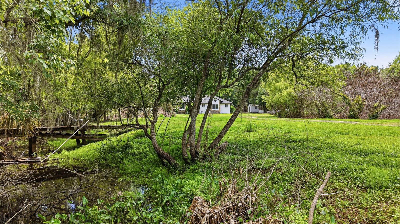 403 WENDEL AVE, LITHIA, FL, 33547