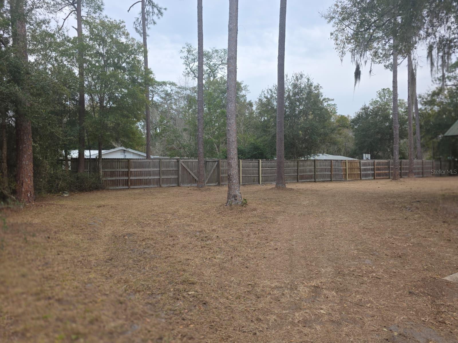 710 NE 11TH AVE, GAINESVILLE, FL, 32601