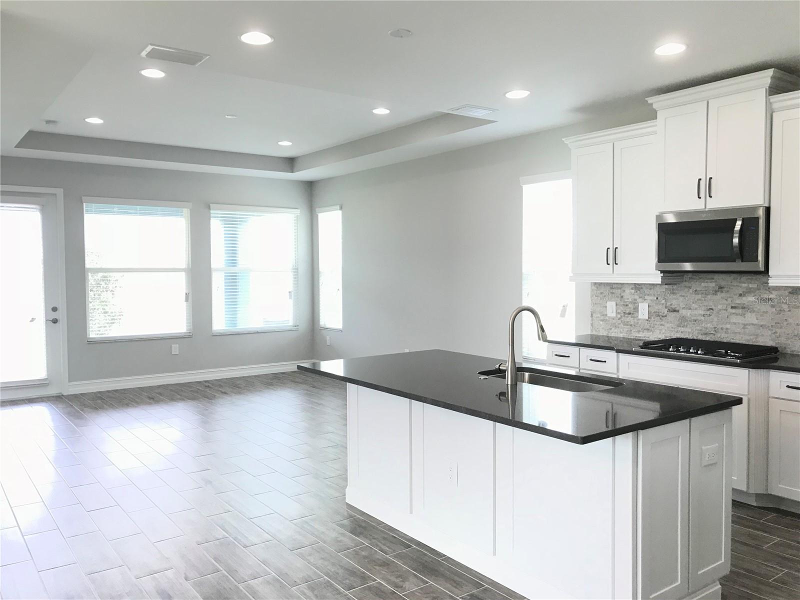 4445 TRAMANTO LN, WESLEY CHAPEL, FL, 33543