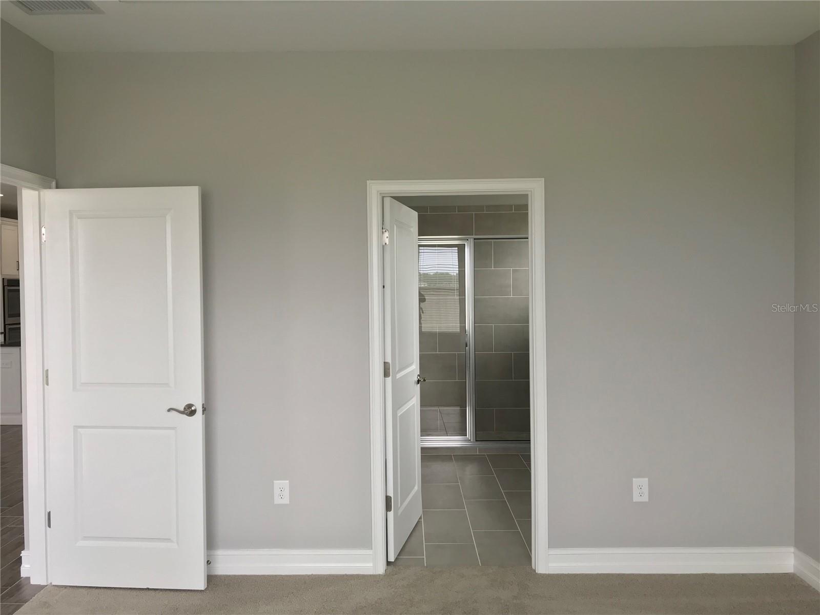 4445 TRAMANTO LN, WESLEY CHAPEL, FL, 33543