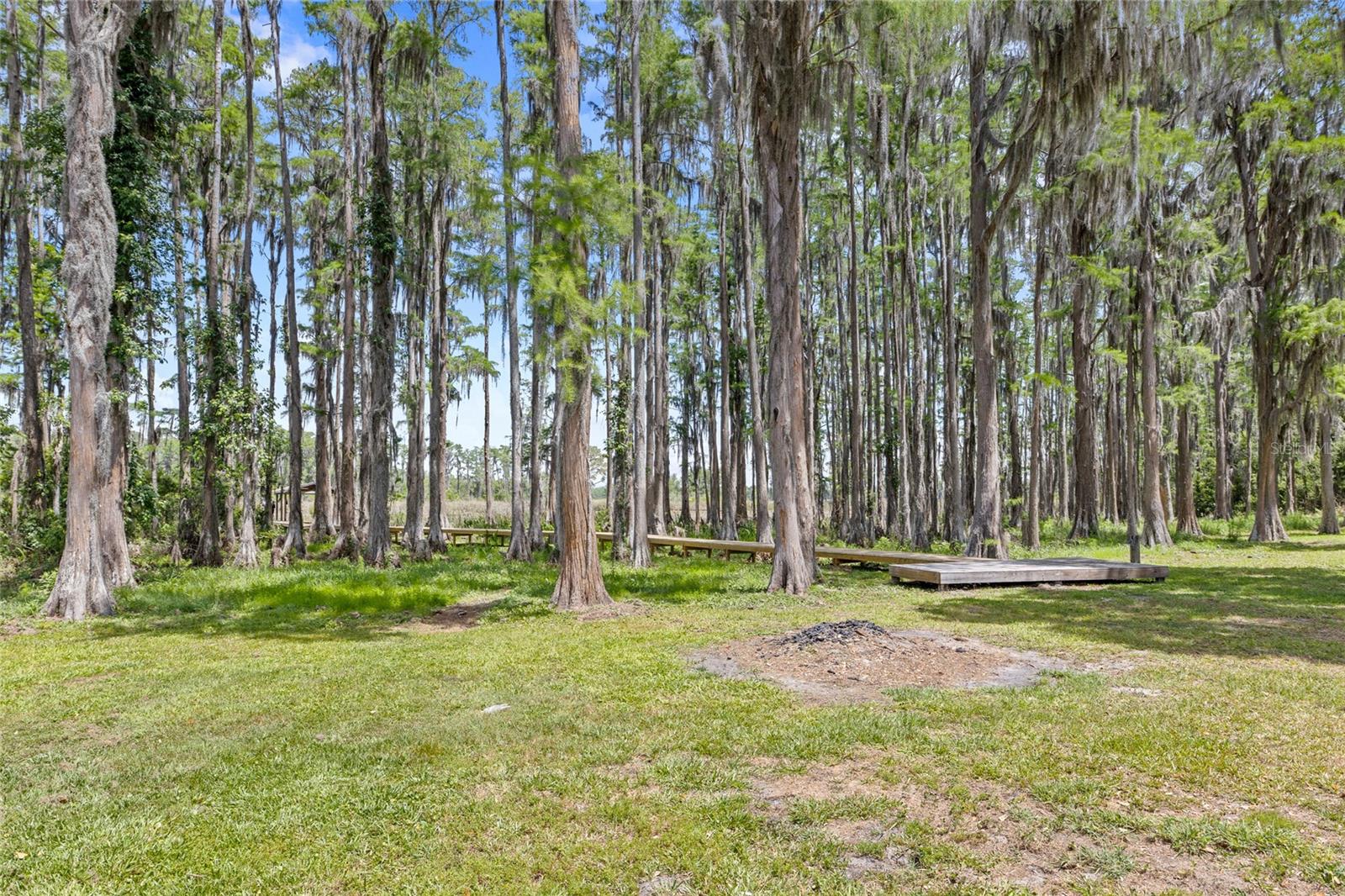 7907 FLORIDA BOYS RANCH RD, GROVELAND, FL, 34736