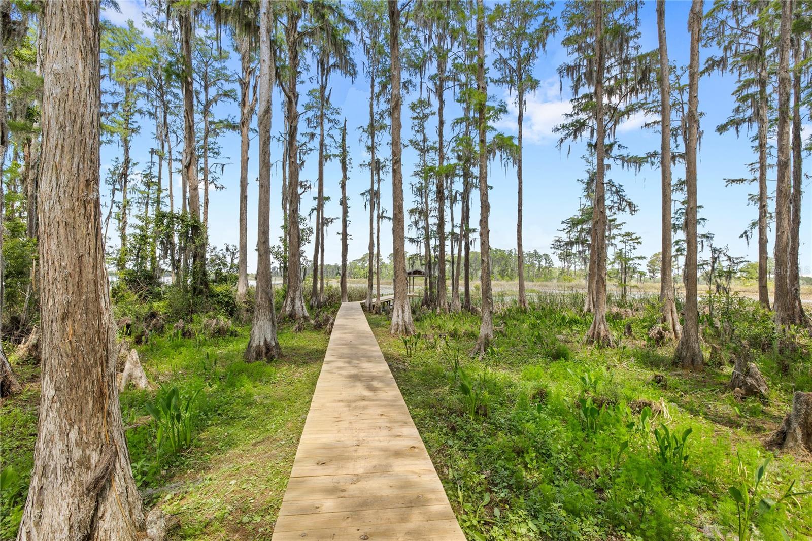 7907 FLORIDA BOYS RANCH RD, GROVELAND, FL, 34736