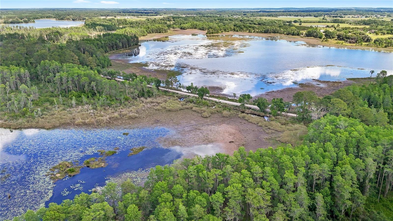 7907 FLORIDA BOYS RANCH RD, GROVELAND, FL, 34736