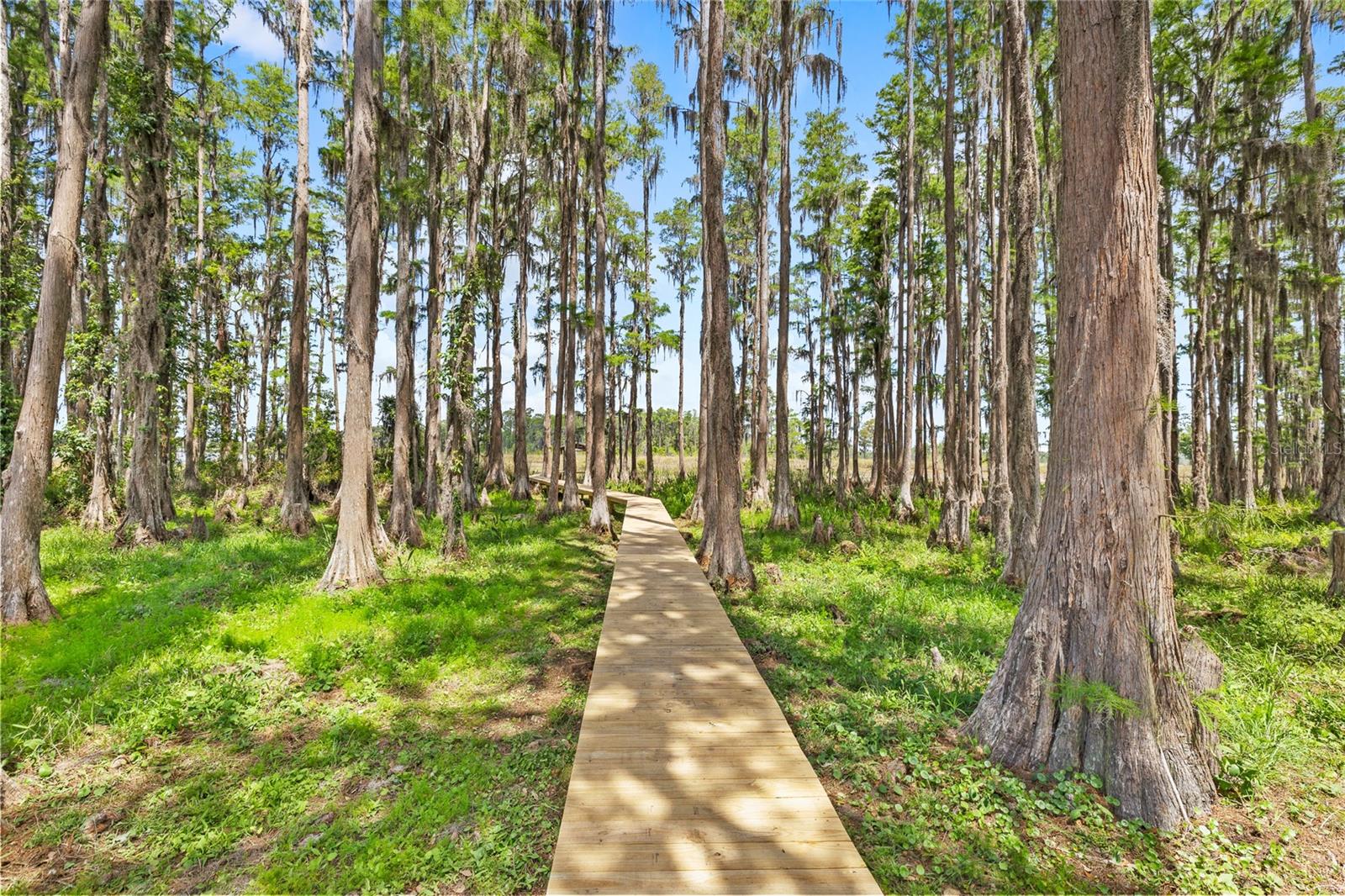 7907 FLORIDA BOYS RANCH RD, GROVELAND, FL, 34736