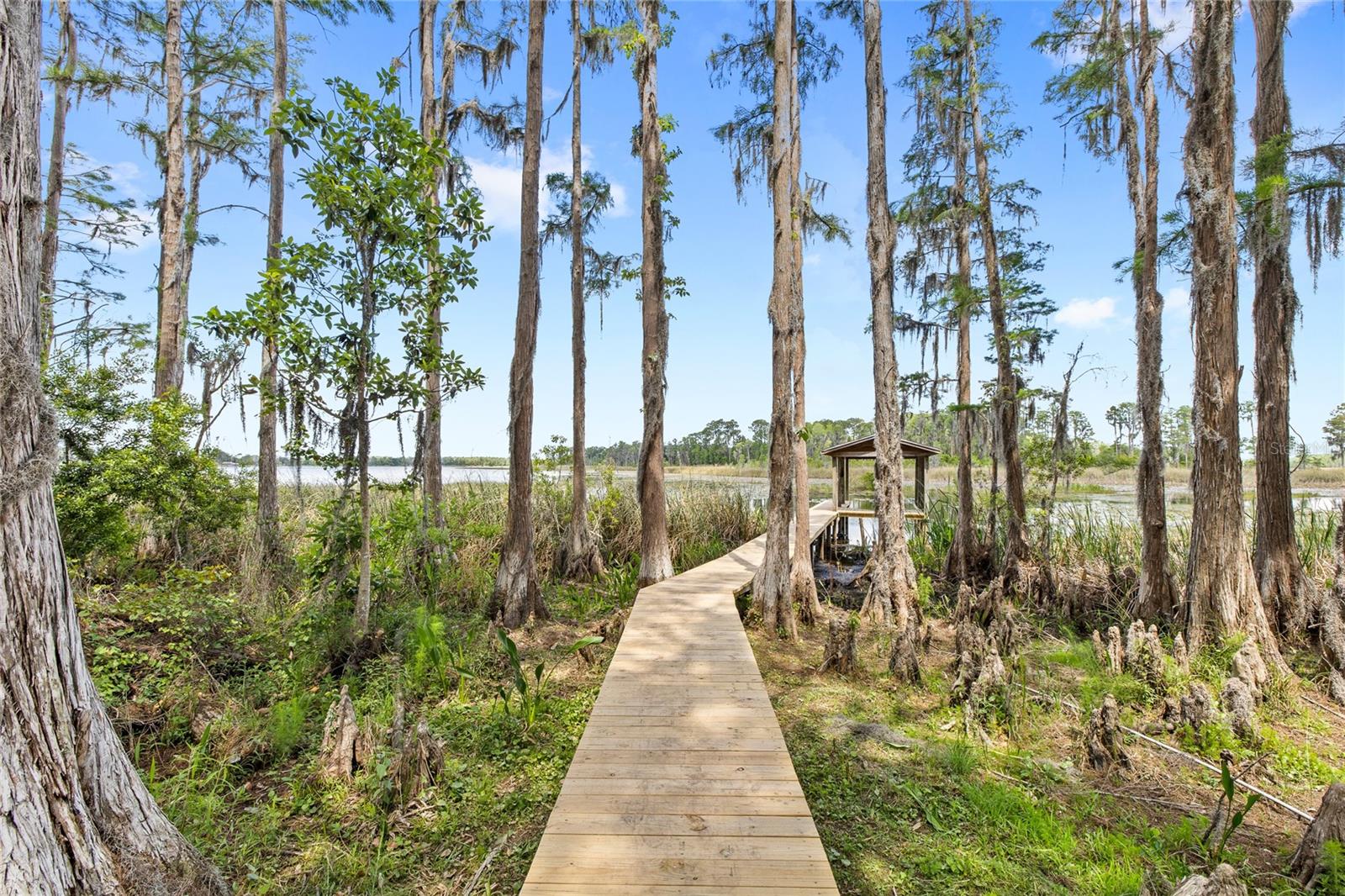 7907 FLORIDA BOYS RANCH RD, GROVELAND, FL, 34736